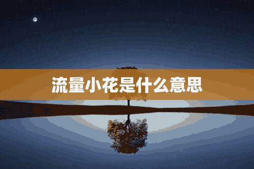 流量小花是什么意思(流量小花的意思)